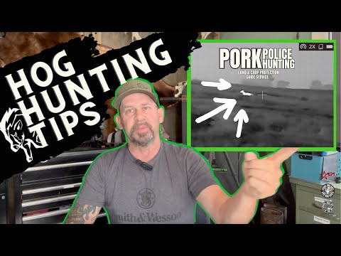 Pig Hunter Tips Gear And Techniques For Successful Hunts