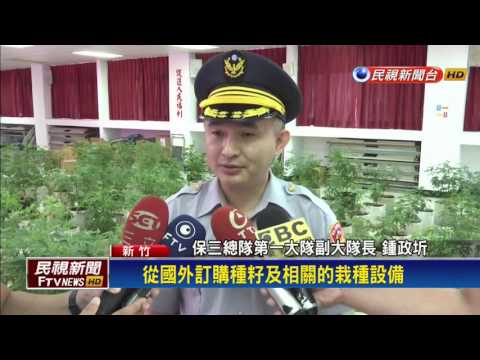 利用高材生兒 打造全台大麻種植場 父跑兒被逮－民視新聞