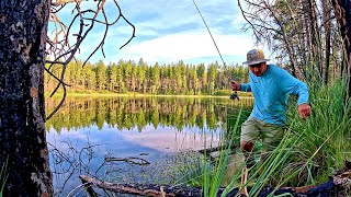 Solo Mountain Lake Fishing!!! (never thought I would catch this...)