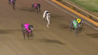 GEL FRI 23 FEB 24 R11