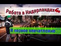 РАБОТА В НИДЕРЛАНДАХ💪 (ГОЛЛАНДИЯ) И первое впечатления😥