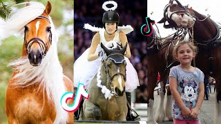 29 Minutes Of Reletable HORSE  TikTok Compilation #49