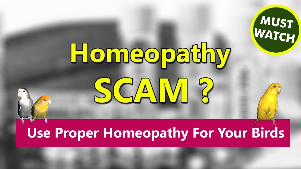 Homeopathy SCAM ? Use Proper Homeopathy For Your Birds ? Special Video For all Animals