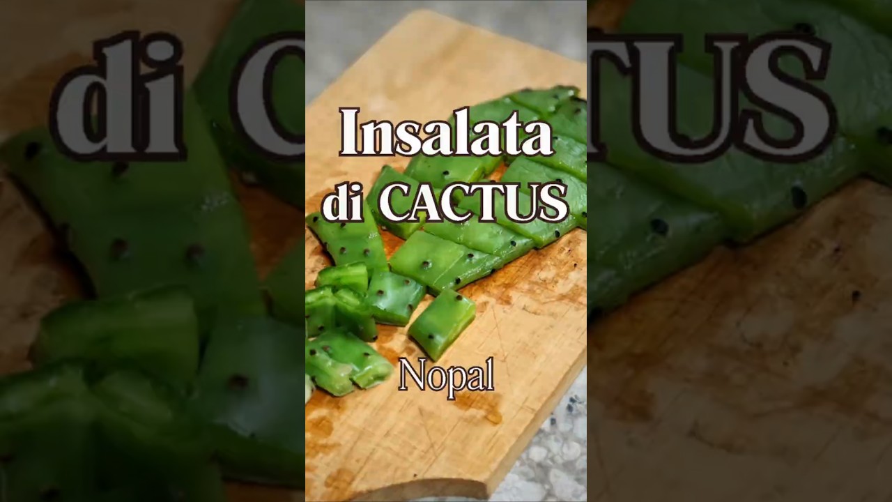 Insalata di NOPALITOS: il cactus commestibile