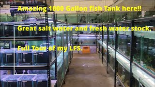 1000 gal Tank!! @ VEBAS FISH STORE with a BUNCH of EXOTIC FISH!! (Full Tour)