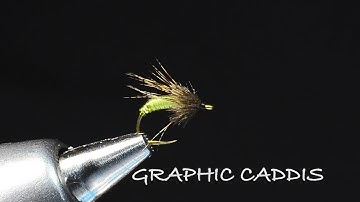 Graphic Caddis By Charlie Craven