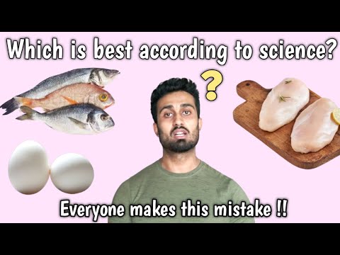 Chicken vs Egg vs Fish which is best for you | The mistake you always make