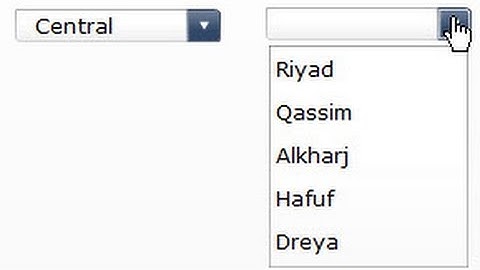 SAP Dashboard Designer (Xcelsius) Session # 7 (Cascaded Selectors)