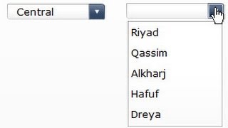 SAP Dashboard Designer (Xcelsius) Session # 7 (Cascaded Selectors)