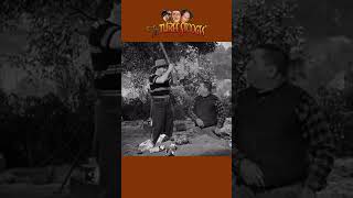 YOU GOT AN IRON PLATE IN YOUR HEAD? #shorts #3stooges #comedy #threestooges