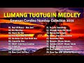 Lumang Tugtugin Nonstop Medley 💗🎼 Soft Rock Collection - Emerson Condino Nonstop Collection 2023