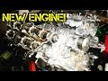 1UZ Cometic gaskets, ARP head studs and valve springs install (V8 Shogun/Pajero new engine part 1)