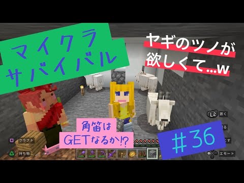 [マイクラ] 新 マイクラ生活。＃36    ヤギの角笛を求めて…