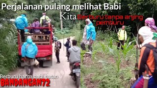Berburu Hama Babi Hutan Tanpa Anjing Pemburu