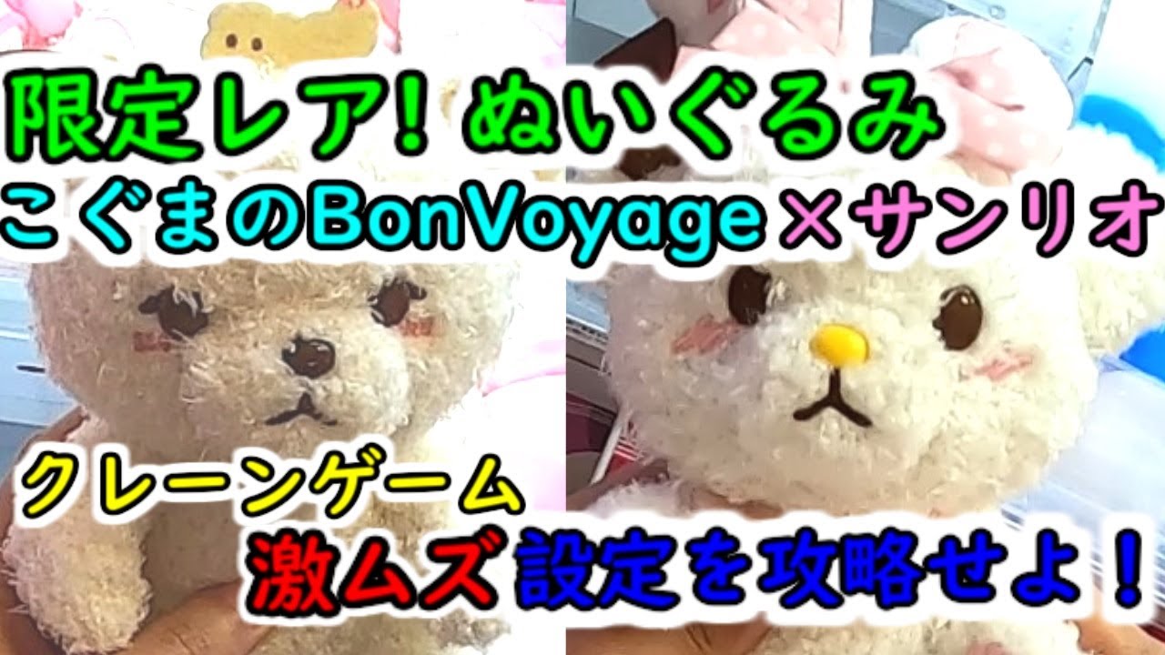 サンリオ　クマのぬいぐるみ　レア 限定レア！ぬいぐるみ】こぐまのBonVoyage × サンリオキャラクターズ