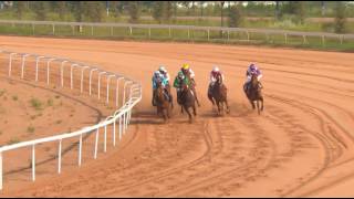 Race 2- Cecf Ordos 2016 International Breeders Cup 1,000M