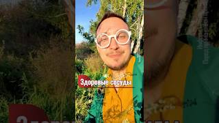Чистые сосуды с травой донника