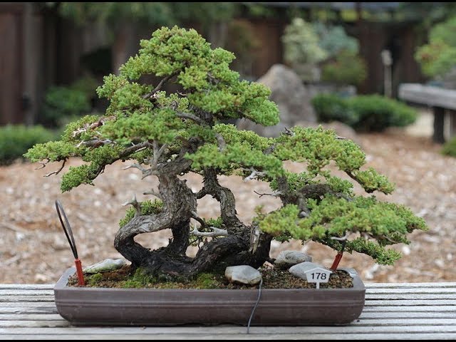 smart bonsai qi Promate Wireless Charging Station, 4-in-1 Charging Dock with 5W Magnet