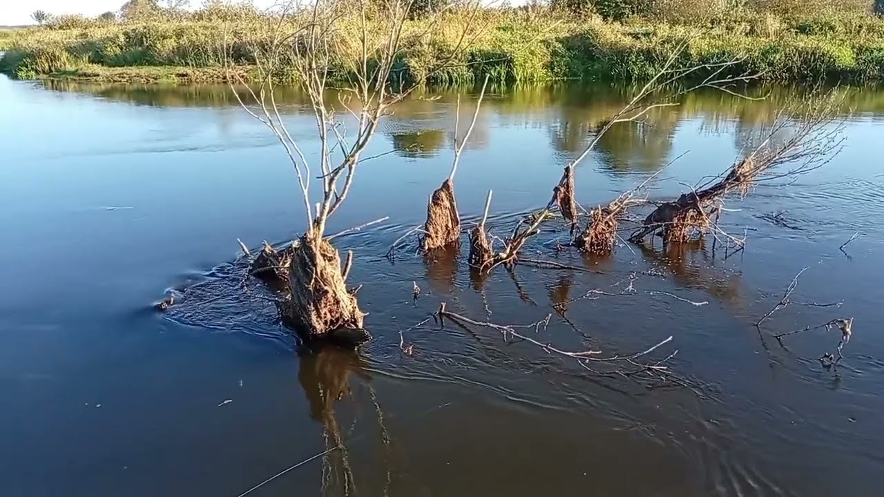Weather in Belarus : Drut River