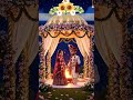 #weddingphotography #invitationvideo #youtubeshorts #shortsfeed #shorts #viralvideo #vlog #video