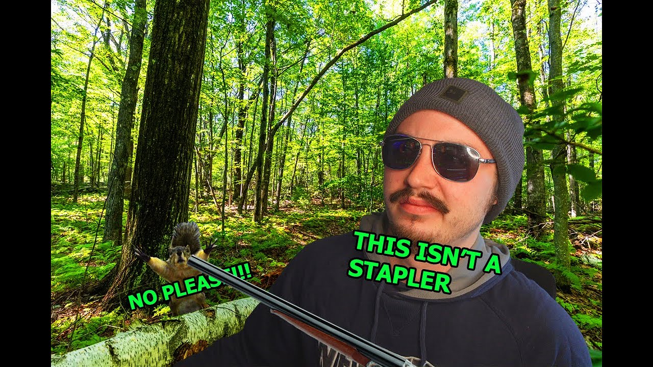 Get in loser... We're stapling squirrels