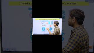 The Four Levels of Protein Structure:  Biochemistry for Beginners: The Ultimate Starter Guide