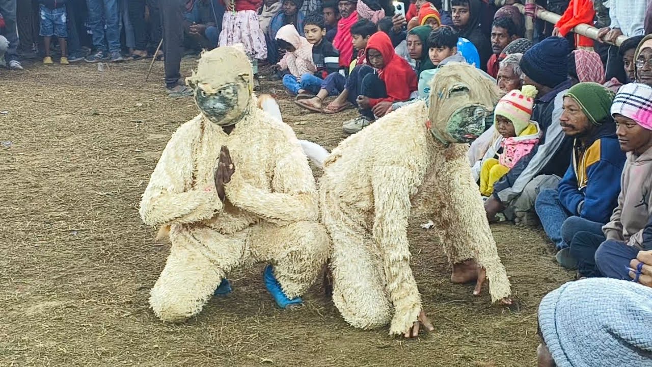 বিখ‍্যাত বাঁদর নাচ ওস্তাদ - রাসবিহারী কুমার গায়ক - নারায়ণ কালিন্দী Rasbihari Kumar New Update 2026