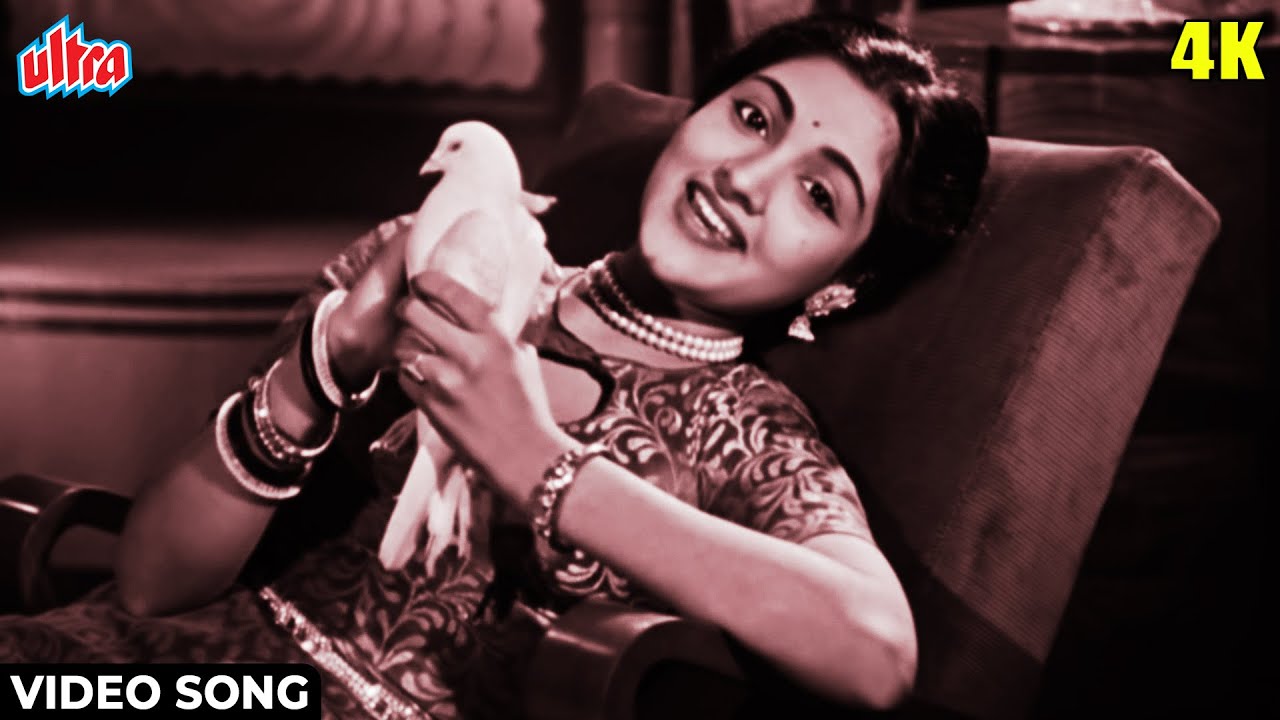 Saiyaan Dil Mein Aana Re 4K Video Song  Bahar 1951 Vyjayantimala  Shamshad Begum Classic Songs
