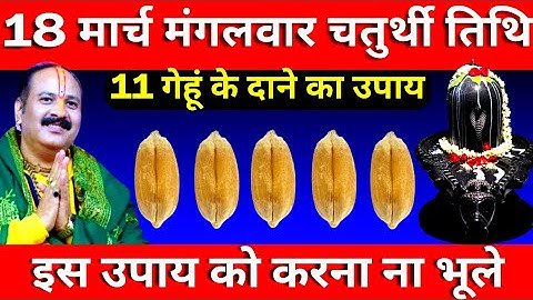 18 मार्च मंगलवार चतुर्थी तिथि को 11 गेहूं के दाने वाला उपाय जरुर करे || Pradeep Ji Mishra
