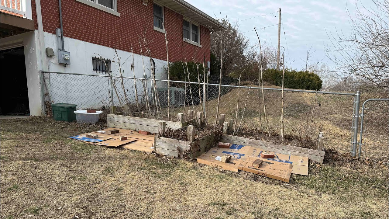 Seed Shopping and Urban Garden Set Up #DITL #garden #newbeginnings