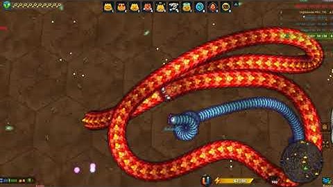 Rắn săn mồi phiên bản mới Little Big Snake Slither#317|Game rắn săn mồi| Hoan Le Gaming