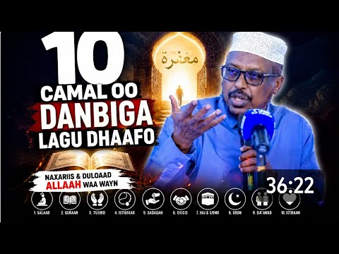 10 camal ee Dan biga lagu dhaafo.  Shekh mustafe 
