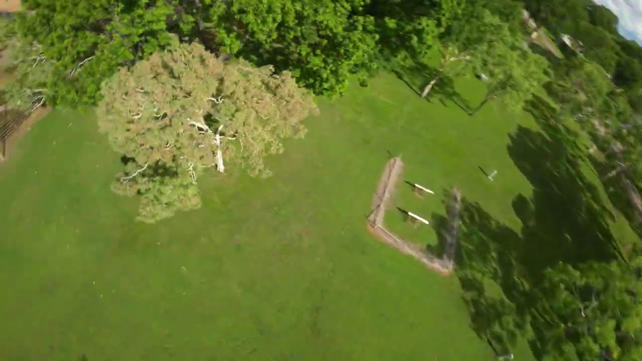 flickin it FPV freestyle