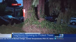 Protesters vs chainsaws over trees in Portland