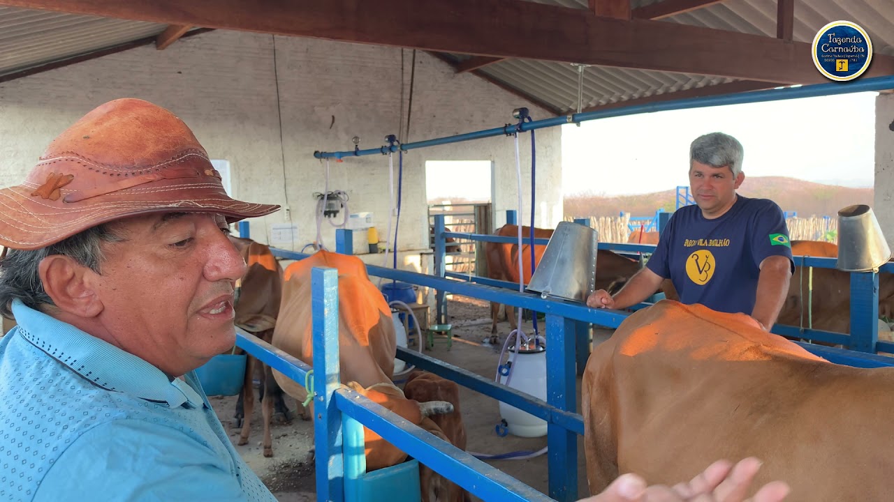 O Sindi, o Sertão e a família Barbosa