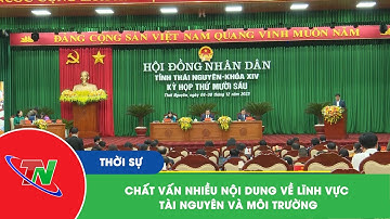 Chất vấn nhiều nội dung về lĩnh vực tài nguyên và môi trường