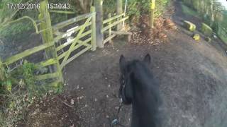 Cow Field Gate- Helmet Cam