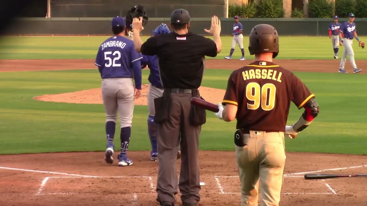 Robert Hassell, OF, Washington Nationals