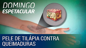 Como é a pele do peixe?