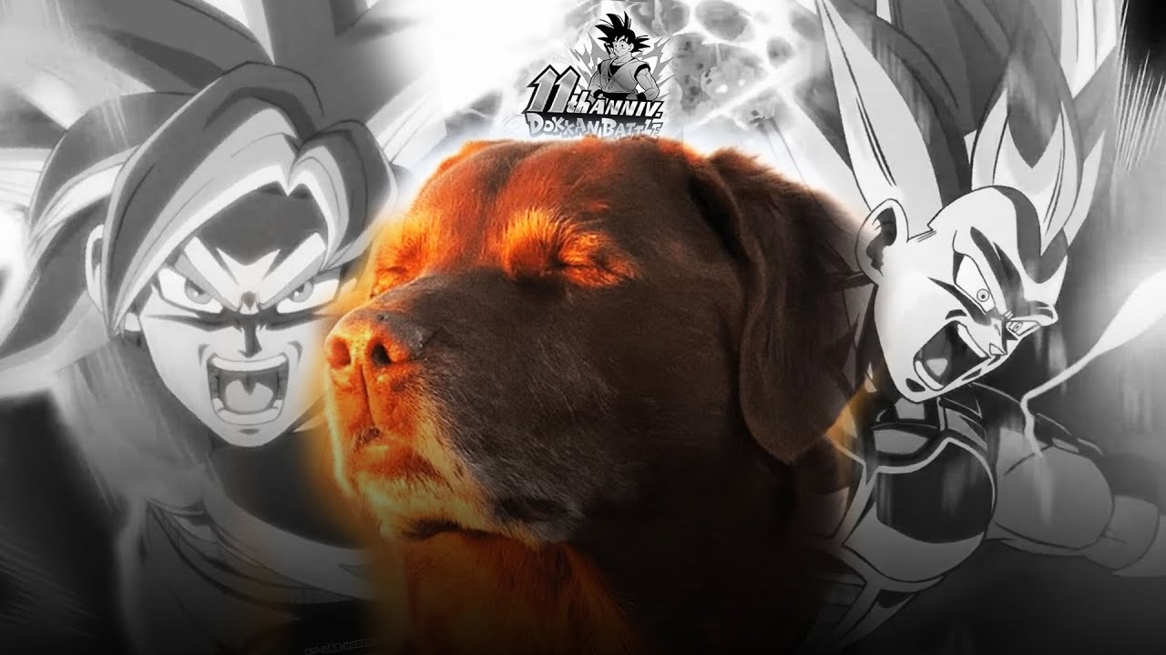 I've never been more disappointed for a Dokkan Battle Anniversary | SSJ4 Goku & SSJ3 Vegeta Reaction