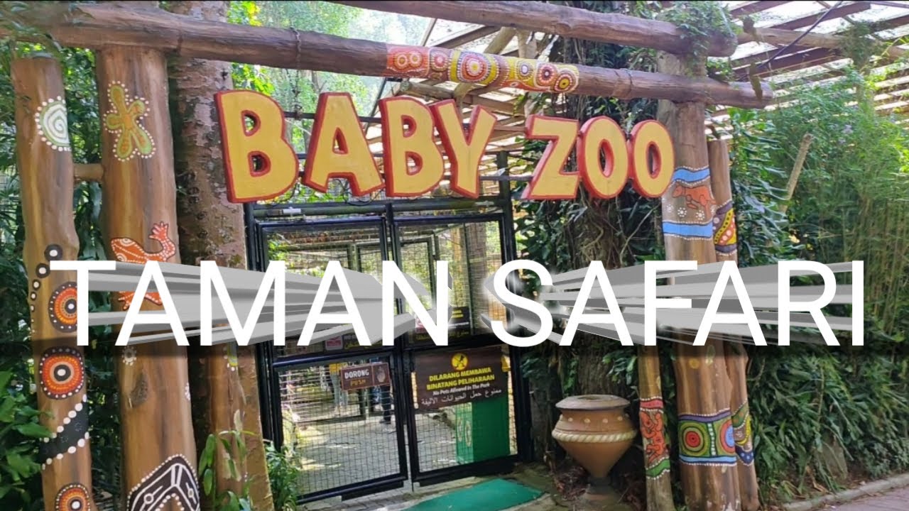 Baby Zoo - Taman Safari - YouTube