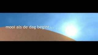 Egg commercial