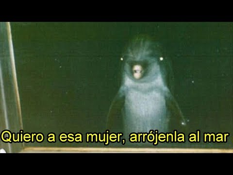Vídeo: El Delfín Rosado Más Raro Golpeó La Lente De La Cámara - Vista Alternativa