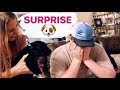 SURPRISING MY BROTHER WITH A NEW PUPPY! His Dream Dog || First Reaction to New Pet || Harley Loper