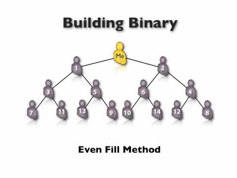 Binary Comp Plan