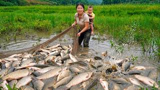 Traditional Fishing In Rice Fields – Selling Fish At The Market And Grilling Them For My Son.