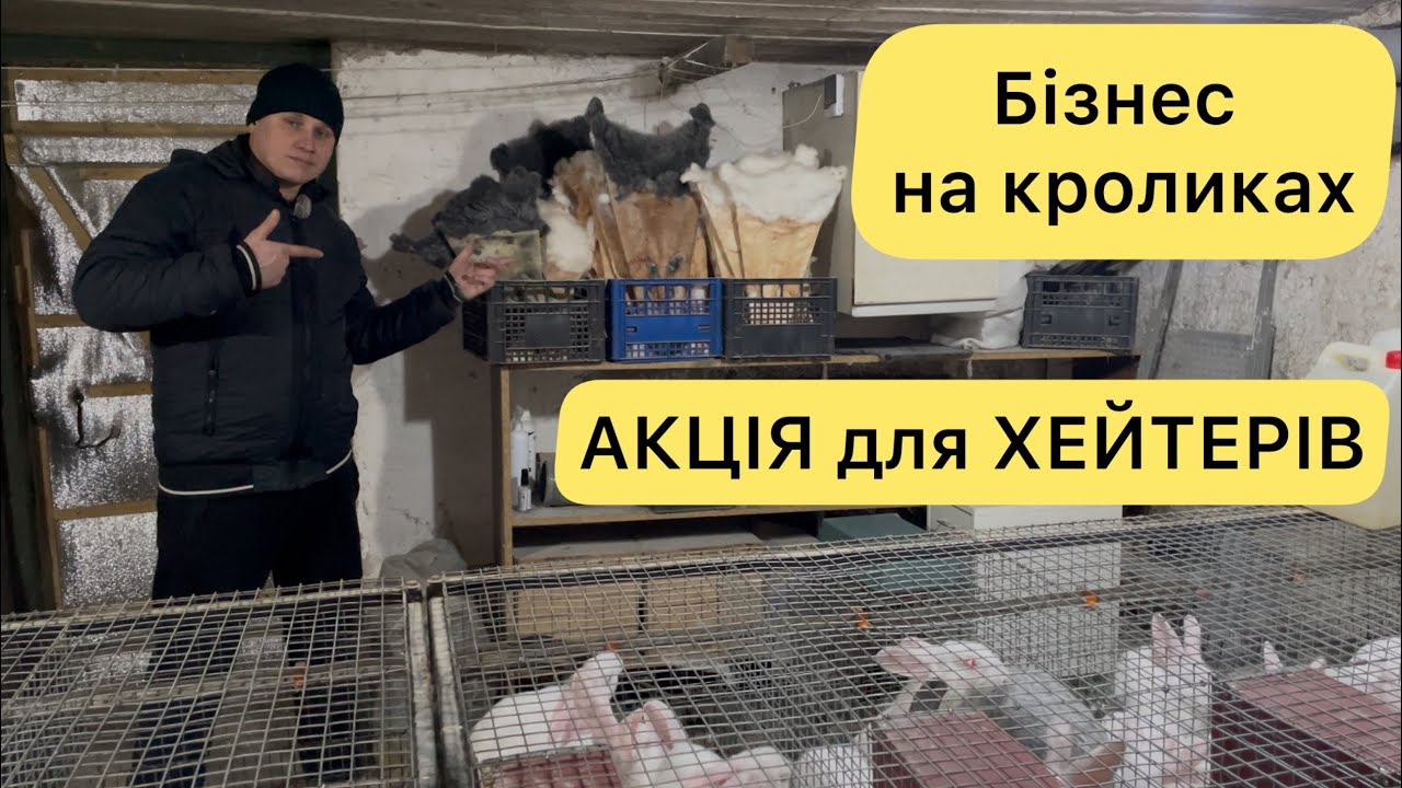 БІЗНЕС НА КРОЛЯХ! КУДА ЗДАЮ ШКІРУ? ВСІ ФАКТИ ПРО ХЕЙТЕРІВ КРОЛЕВОДІВ!?