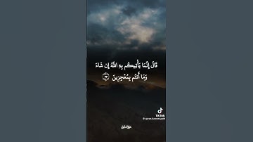 #القارئ بلال سيف-#المصحف 🌼