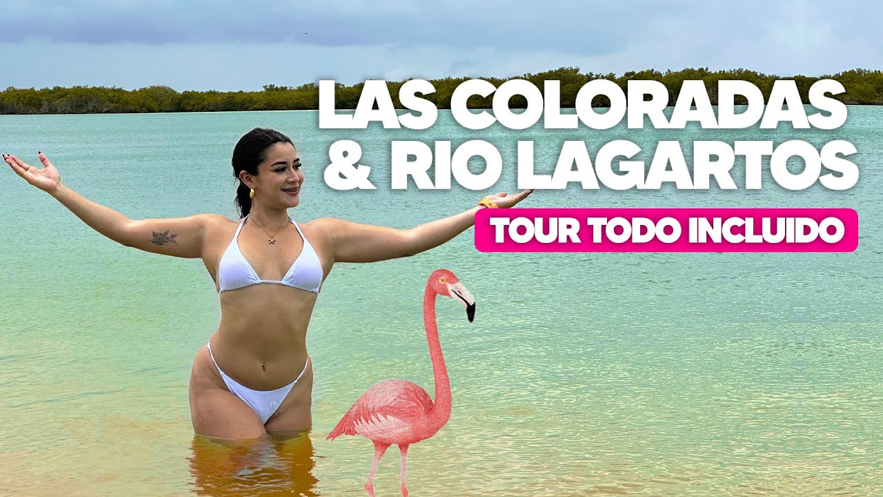 LAS COLORADAS y RIO LAGARTOS YUCATÁN México 🦩 TOUR TODO INCLUIDO desde CANCUN ✅ Tour de 1 DIA