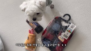 이모들과 보내는 하루 🐶 | 새 옷, 간식, 장난감